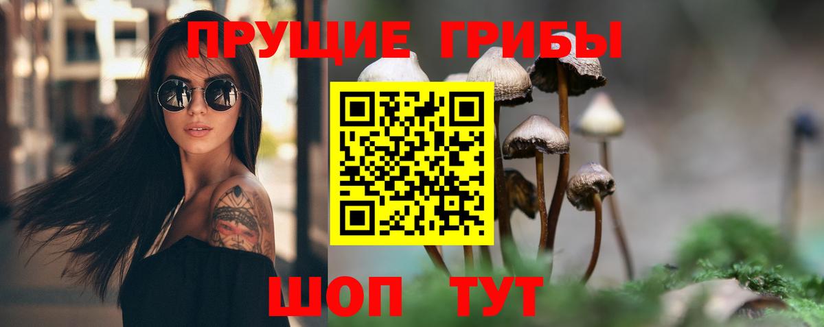Уфа  Псилоцибиновые грибы прущие грибы  Вход с VPN 